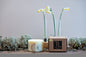 Hand-made Soy Wax Candle with Light Vanilla Scent